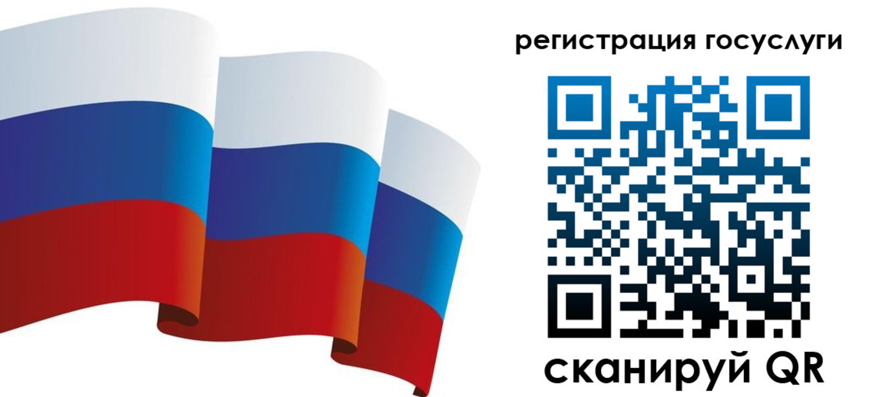 прописка для работы в Сольцах